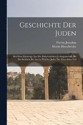 bokomslag Geschichte der Juden