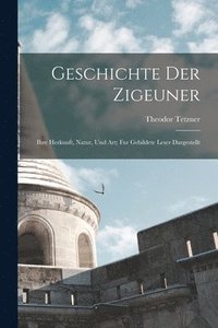 bokomslag Geschichte Der Zigeuner