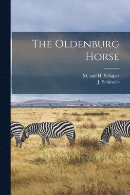 bokomslag Oldenburg Horse