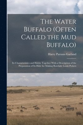 Water Buffalo (Often Called the Mud Buffalo) 1