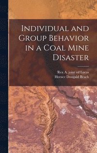 bokomslag Individual and Group Behavior in a Coal Mine Disaster