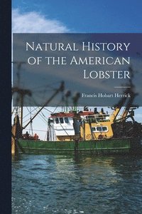 bokomslag Natural History of the American Lobster