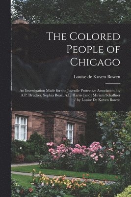 The Colored People of Chicago 1