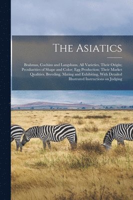 bokomslag Asiatics; Brahmas, Cochins and Langshans, all Varieties, Their Origin; Peculiarities of Shape and Color; egg Production; Their Market Qualities. Breeding, Mating and Exhibiting, With Detailed Illus...