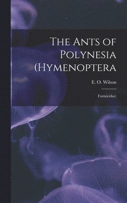 bokomslag Ants of Polynesia (Hymenoptera