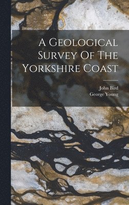 bokomslag A Geological Survey Of The Yorkshire Coast