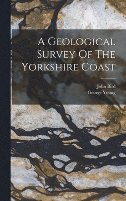 Geological Survey Of The Yorkshire Coast