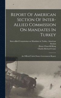 bokomslag Report Of American Section Of Inter-allied Commission On Mandates In Turkey