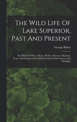 The Wild Life Of Lake Superior, Past And Present 1