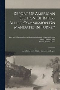 bokomslag Report Of American Section Of Inter-allied Commission On Mandates In Turkey