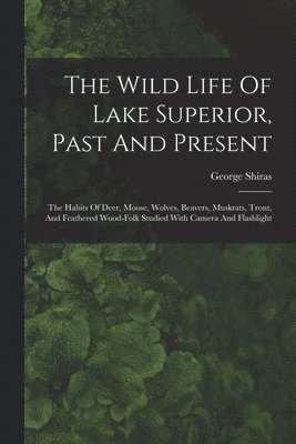 George Shiras - Wild Life Of Lake Superior, Past And Present, Häftad