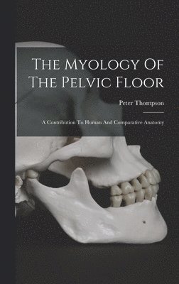 bokomslag The Myology Of The Pelvic Floor