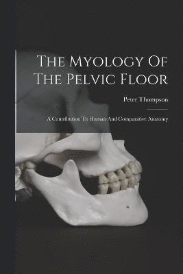 bokomslag The Myology Of The Pelvic Floor