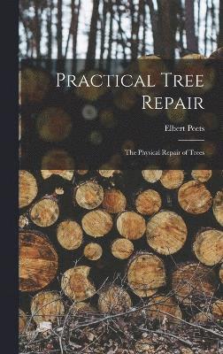 Practical Tree Repair 1