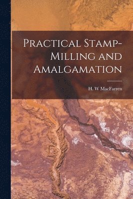 bokomslag Practical Stamp-Milling and Amalgamation