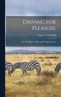 bokomslag Driving for Pleasure