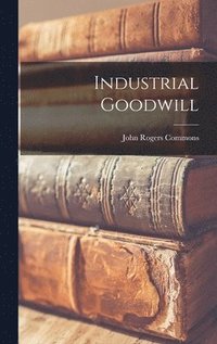 bokomslag Industrial Goodwill