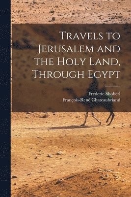 bokomslag Travels to Jerusalem and the Holy Land, Through Egypt