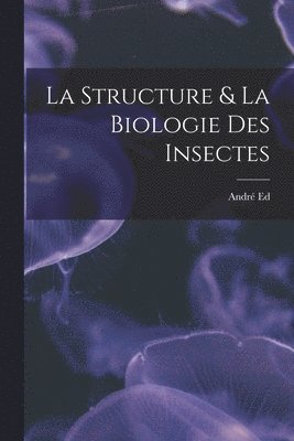 Structure & La Biologie Des Insectes