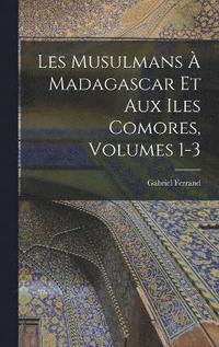 bokomslag Les Musulmans  Madagascar Et Aux Iles Comores, Volumes 1-3