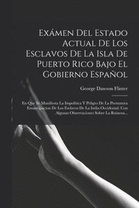bokomslag Exmen Del Estado Actual De Los Esclavos De La Isla De Puerto Rico Bajo El Gobierno Espaol