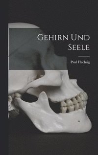 bokomslag Gehirn Und Seele