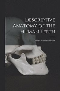 bokomslag Descriptive Anatomy of the Human Teeth