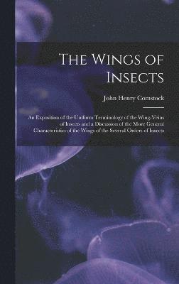 The Wings of Insects 1