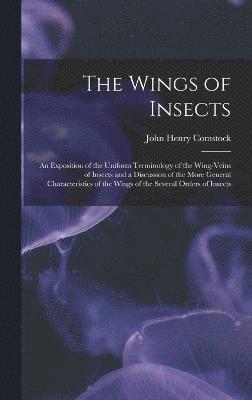 Wings of Insects