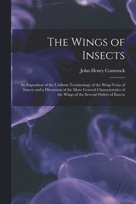 The Wings of Insects 1