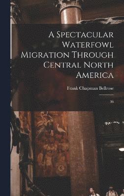 A Spectacular Waterfowl Migration Through Central North America 1