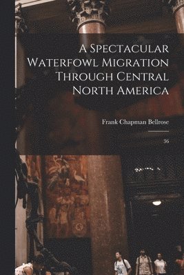 Spectacular Waterfowl Migration Through Central North America