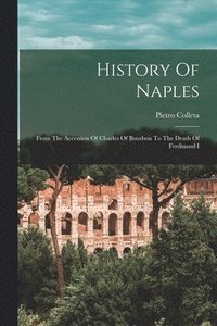 bokomslag History Of Naples