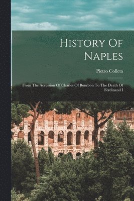 bokomslag History Of Naples