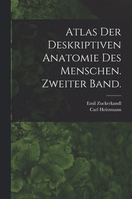 bokomslag Atlas der deskriptiven Anatomie des Menschen. Zweiter Band.