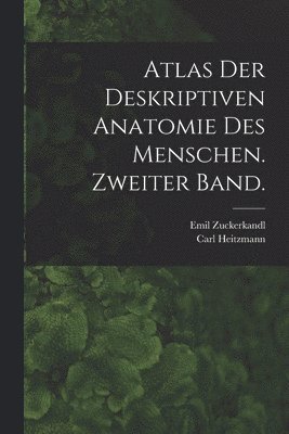 Atlas der deskriptiven Anatomie des Menschen. Zweiter Band.