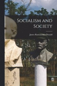 bokomslag Socialism and Society