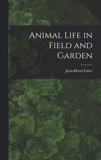 bokomslag Animal Life in Field and Garden