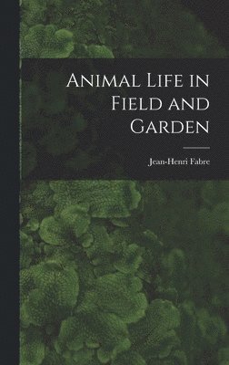 Animal Life in Field and Garden 1