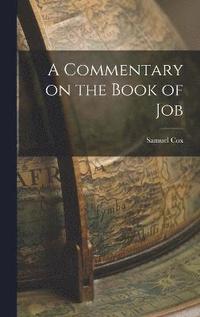 bokomslag A Commentary on the Book of Job