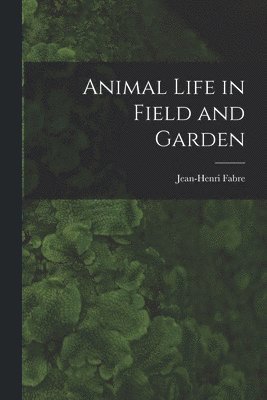 bokomslag Animal Life in Field and Garden