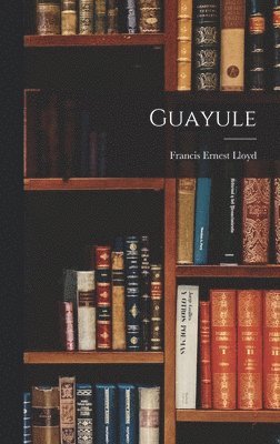 Guayule