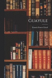 bokomslag Guayule