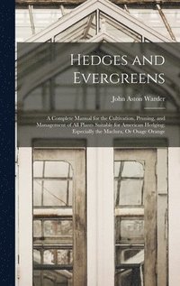 bokomslag Hedges and Evergreens
