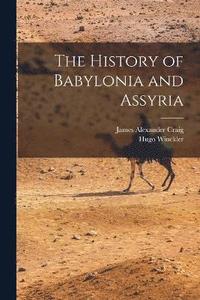 bokomslag The History of Babylonia and Assyria