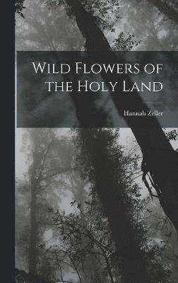 Wild Flowers of the Holy Land 1