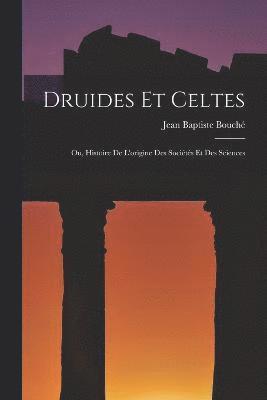 bokomslag Druides Et Celtes