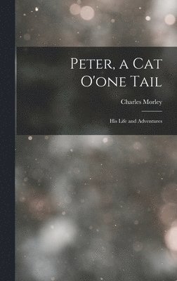 bokomslag Peter, a Cat O'one Tail