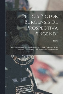 bokomslag Petrus Pictor Burgensis De Prospectiva Pingendi