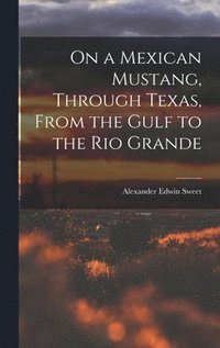 bokomslag On a Mexican Mustang, Through Texas, From the Gulf to the Rio Grande